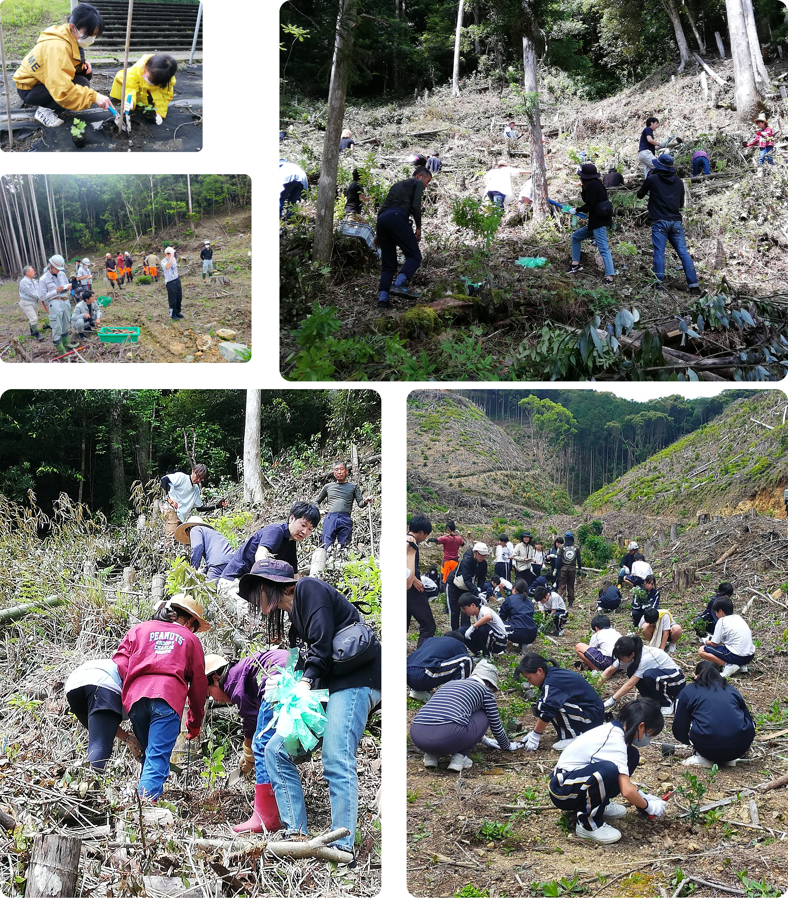 令和3年度のプロジェクトの様子