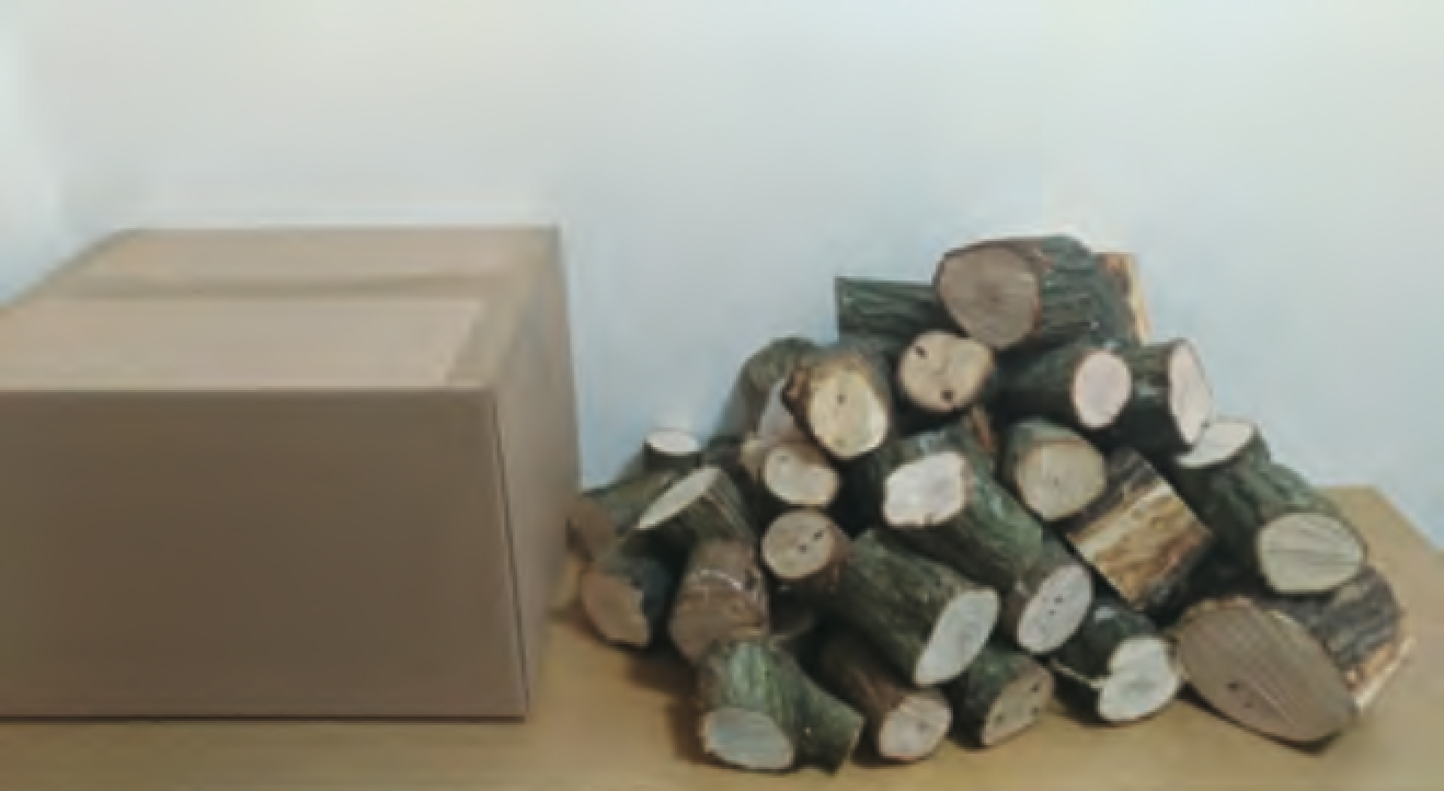 チェーンソー指導の様子