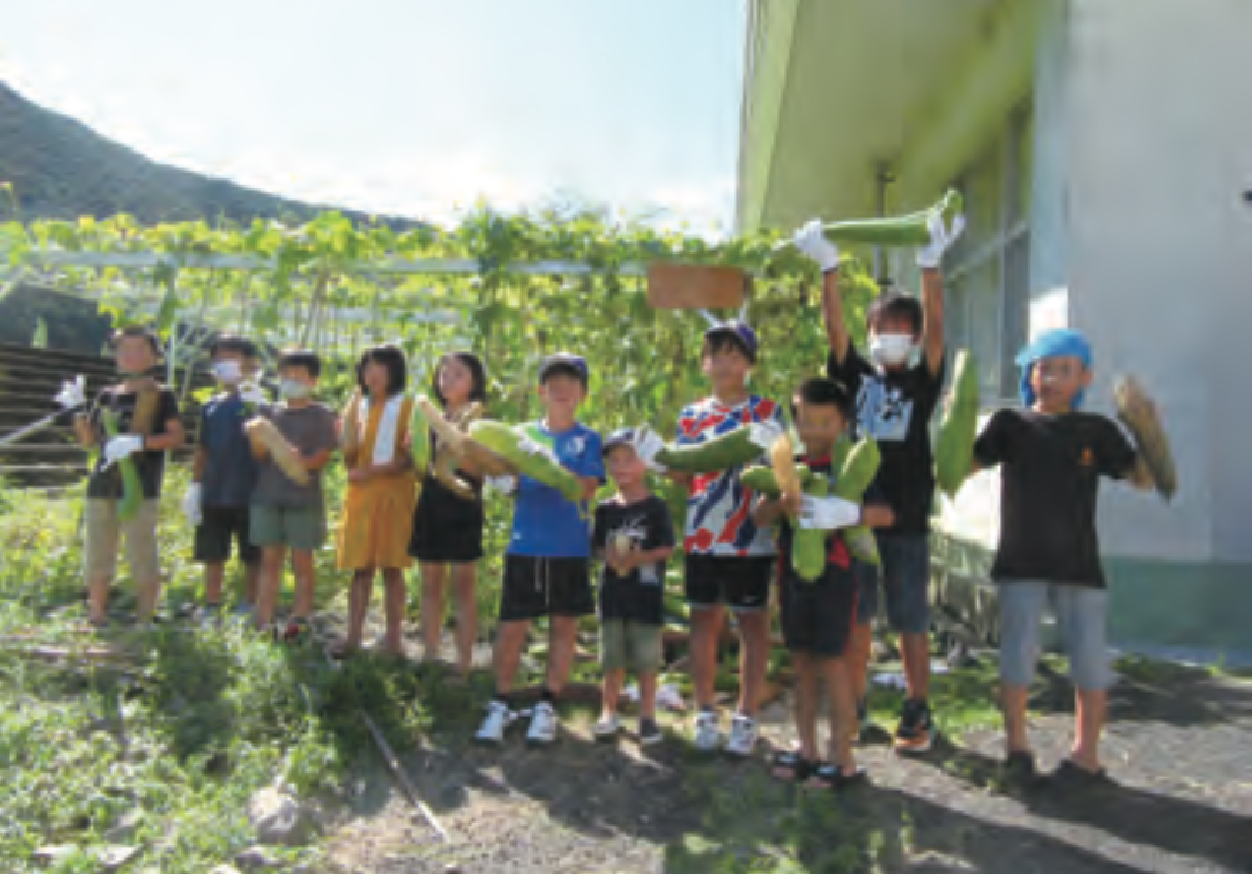 令和3年度のプロジェクトの様子